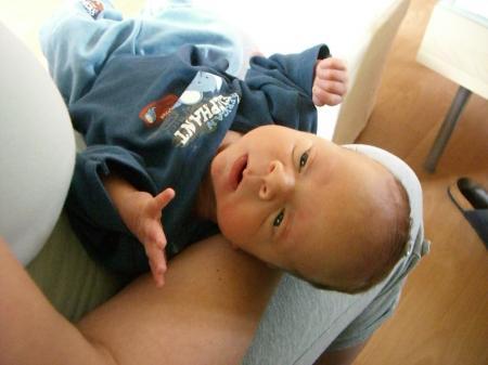 Bild zu 