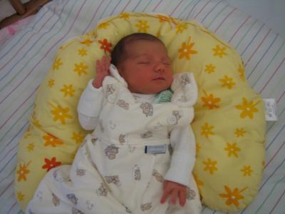 Bild zu Wir sind auch zu Hause - Forum für September - Mamis