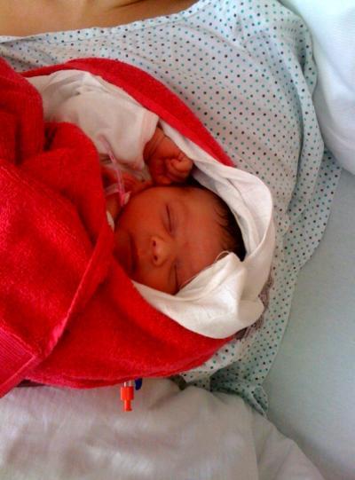 Bild zu wiener keks darf auch kuscheln - Forum für September - Mamis