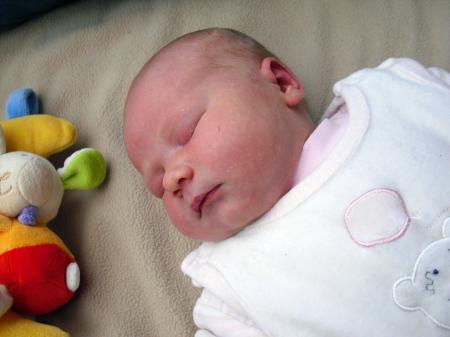 Bild zu 
