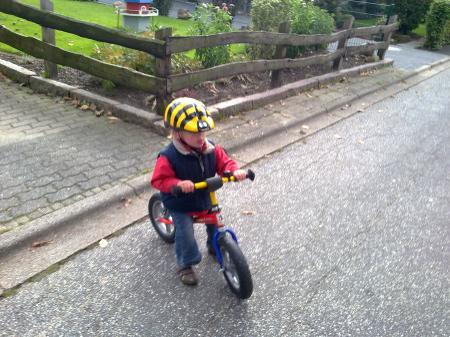 Bild zu 