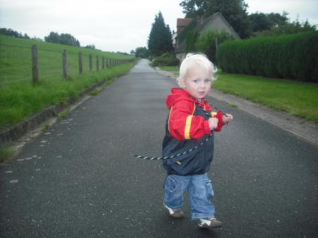 Bild zu 