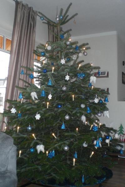 Bild zu Unser 3 m Weihnachtsbaum.... Hohoho :o) - Forum für September - Mamis