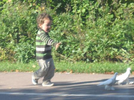 Bild zu