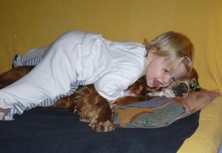 Bild zu