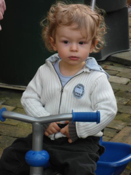 Bild zu