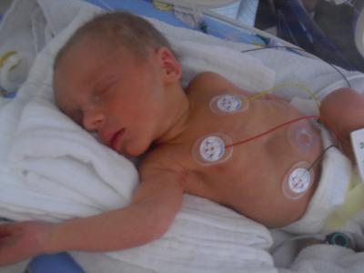 Bild zu neues - Forum für September - Mamis