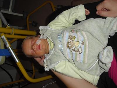 Bild zu luis - Forum für September - Mamis