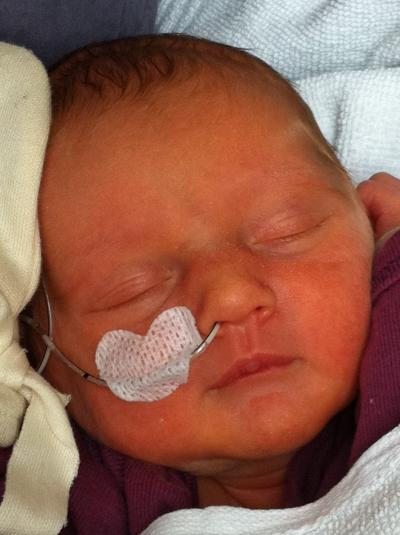 Bild zu Maya - Forum für September - Mamis