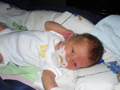 Bild zu Neues von LASSE - Forum für September - Mamis