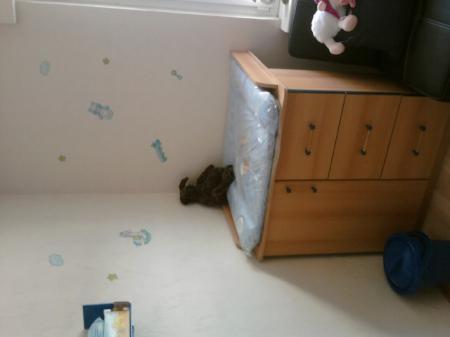 Bild zu 