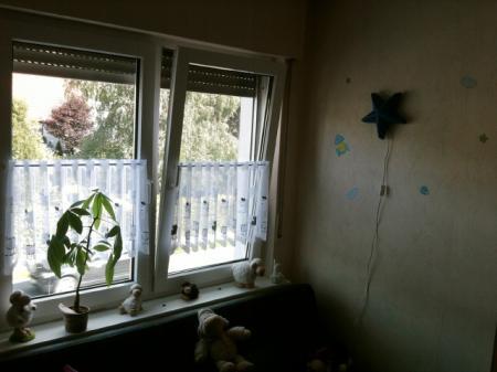 Bild zu 