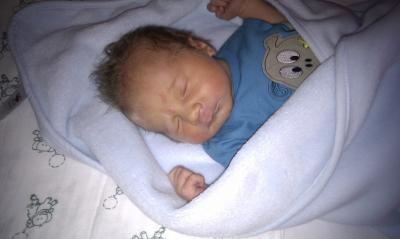 Bild zu Unser Titus !!!FOTO!!! - Forum für September - Mamis