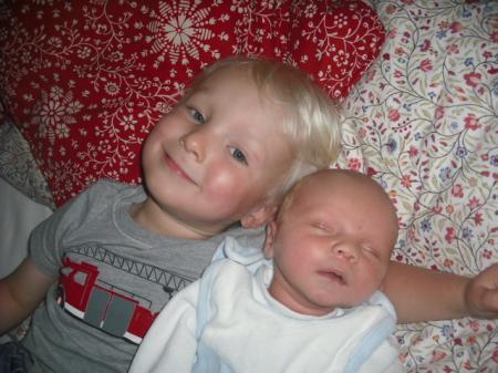 Bild zu