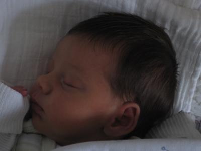 Bild zu Junge oder Mädchen - Forum für September - Mamis