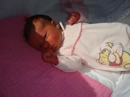 Bild zu 