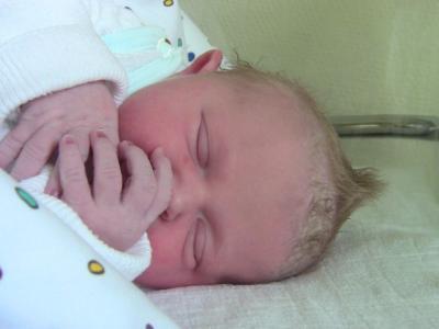 Bild zu so... nun die versprochenen bilder von pia sophie - Forum für September - Mamis