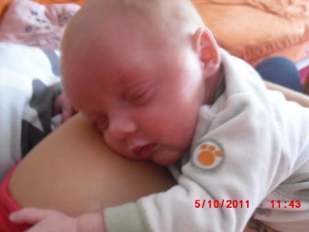 Bild zu 