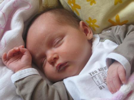 Bild zu 