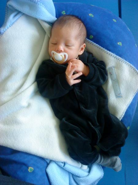 Bild zu