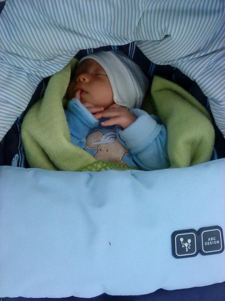 Bild zu 