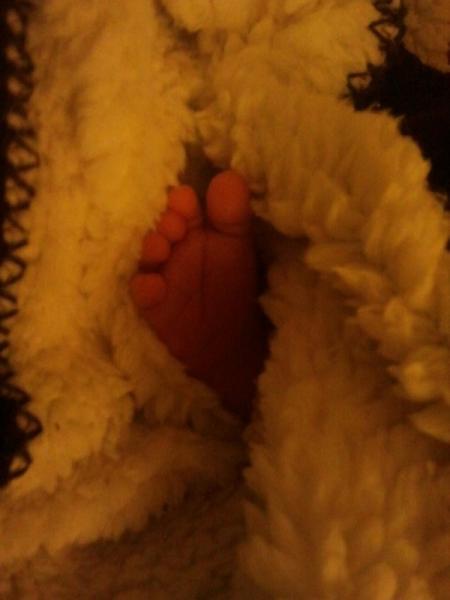 Bild zu 