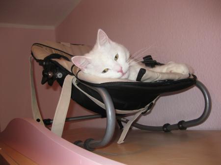 Bild zu 