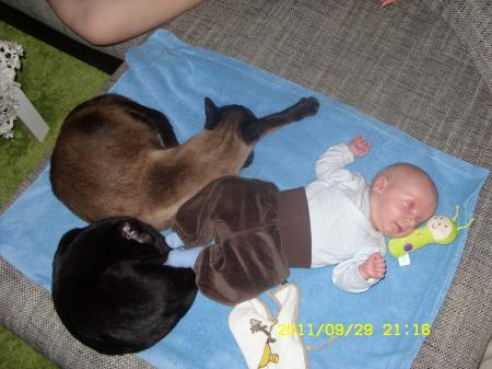 Bild zu 