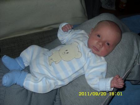 Bild zu