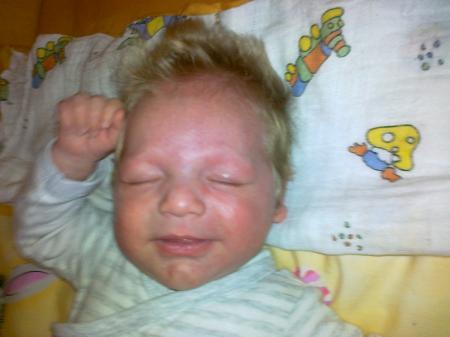 Bild zu 