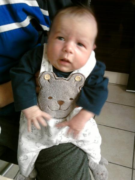 Bild zu 