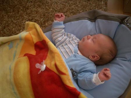 Bild zu