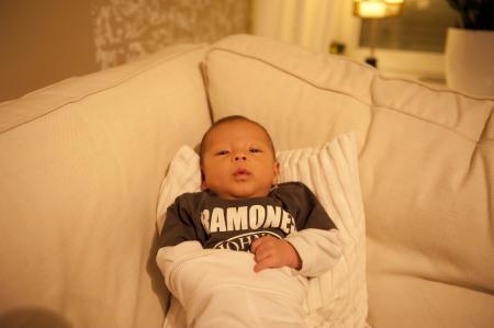 Bild zu