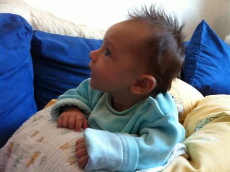 Bild zu