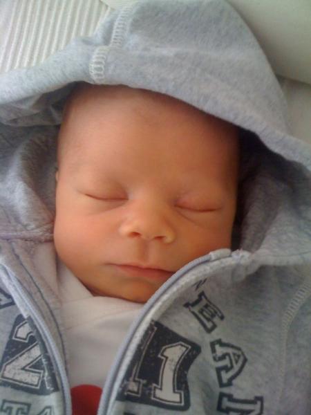 Bild zu