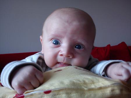 Bild zu 