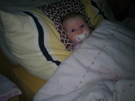 Bild zu