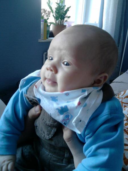 Bild zu