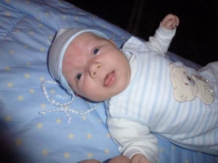 Bild zu