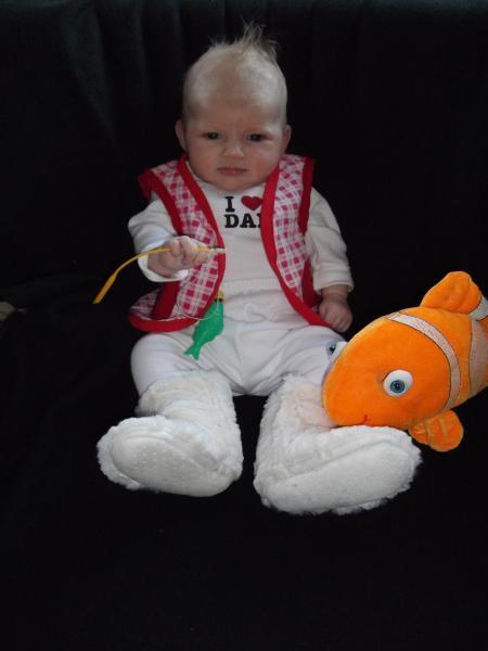 Bild zu