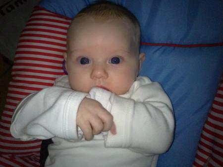 Bild zu 