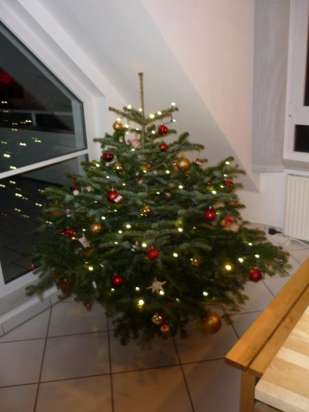 Bild zu 