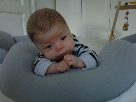 Bild zu 