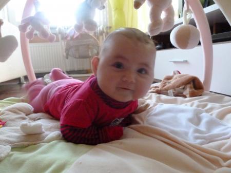 Bild zu 