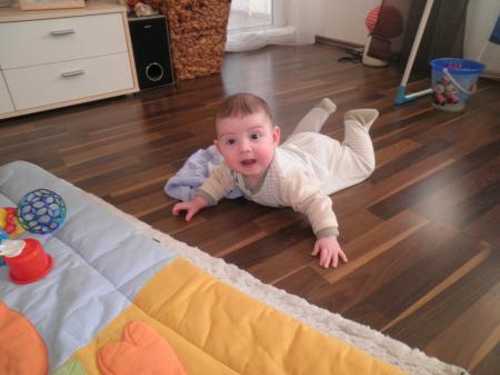 Bild zu