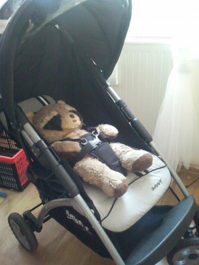 Bild zu Buggy ab 6 Monate - Forum für September - Mamis