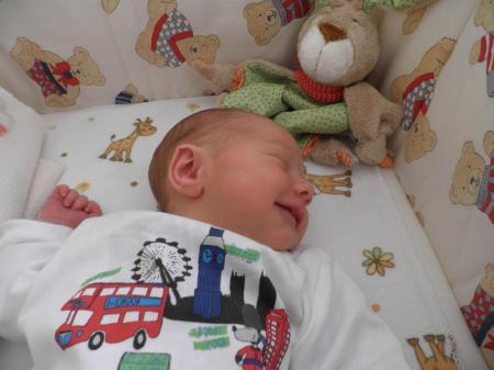 Bild zu