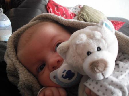 Bild zu 