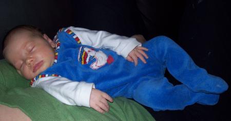 Bild zu