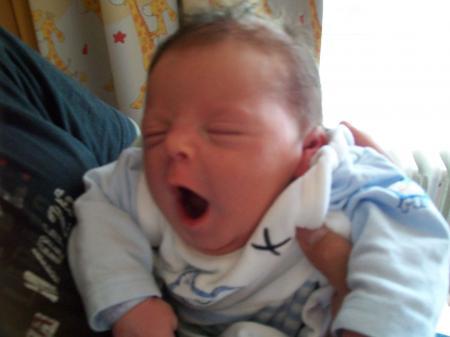 Bild zu 